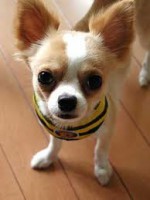 /album/fotogaleria/a5-jpg/